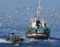 El Ministerio de Agricultura, Pesca y Alimentación completa el marco regulatorio de los mecanismos de optimización pesquera previsto en 2023