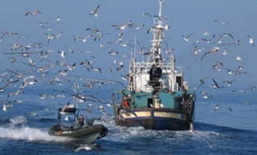 El Ministerio de Agricultura, Pesca y Alimentación completa el marco regulatorio de los mecanismos de optimización pesquera previsto en 2023