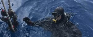 Tenerife se convierte en el campo de pruebas mundial para la recuperación de ecosistemas marinos