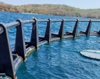 Nuevos materiales biodegradables para una pesca de atún tropical más sostenible