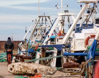 Proyecto Searcular: reducir los plásticos marinos en la pesca europea