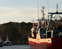 Marina Mercante: salto digital en el Despacho de Buques y Enrole de Tripulaciones