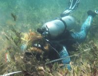 Primer inventario mundial del carbono retenido por las praderas submarinas