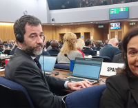 España reelegida miembro de la OMI