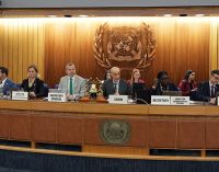 La OMI pide un acuerdo marco para un corredor marítimo seguro en el estrecho de Ormuz