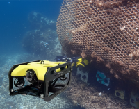 El puerto danés de Esbjerg instala las estructuras biomiméticas de Ocean Ecostructures para regenerar ecosistemas marinos