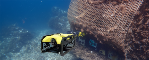 El puerto danés de Esbjerg instala las estructuras biomiméticas de Ocean Ecostructures para regenerar ecosistemas marinos