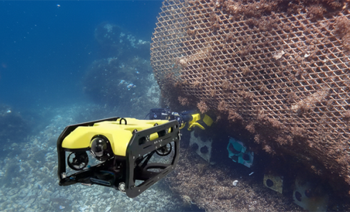 El puerto danés de Esbjerg instala las estructuras biomiméticas de Ocean Ecostructures para regenerar ecosistemas marinos