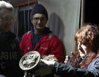 Acciona Energía localiza un pecio del siglo V y IV a.C. en Calabria