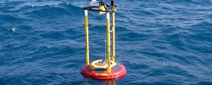 Transportes pone en marcha el indicador de temperatura media diaria del mar en las costas españolas