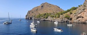 Todas las embarcaciones de recreo de alquiler requerirán un patrón con licencia de navegación o titulación para hacerse al mar