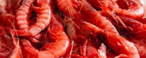 El MAPA completa la asignación de días de pesca y aumenta los límites de captura de gamba roja para la flota de arrastre del Mediterráneo